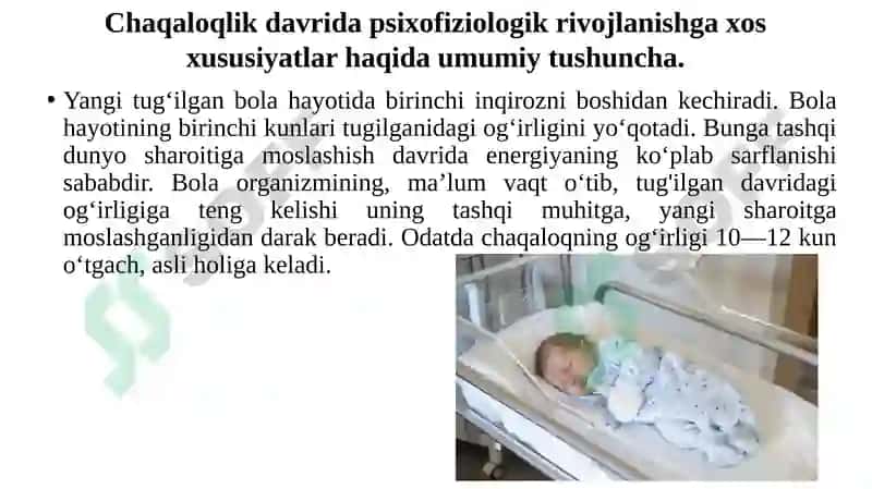 Ontogenezning ilk bosqichlari 8