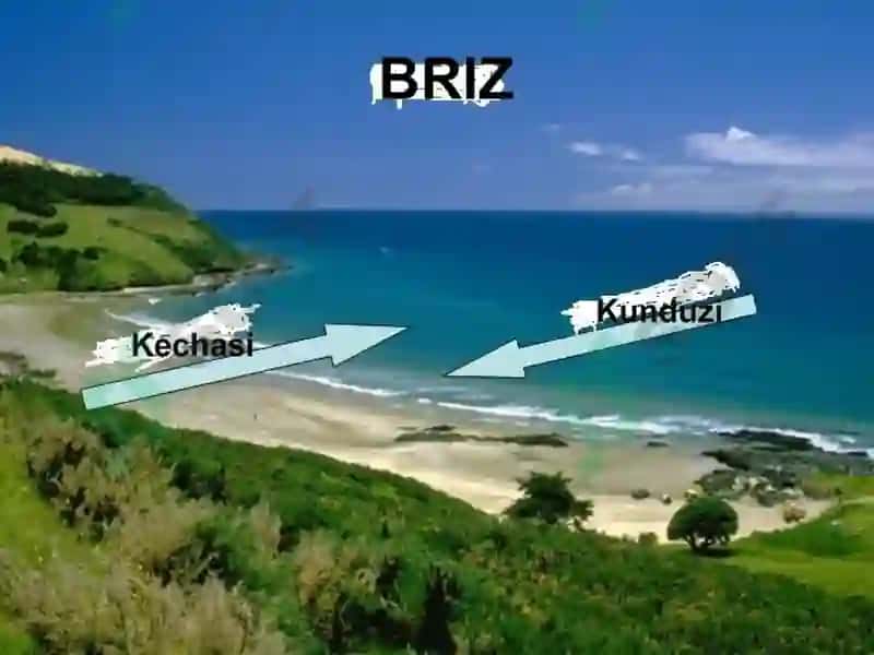 Shamollar va havo massalari 8