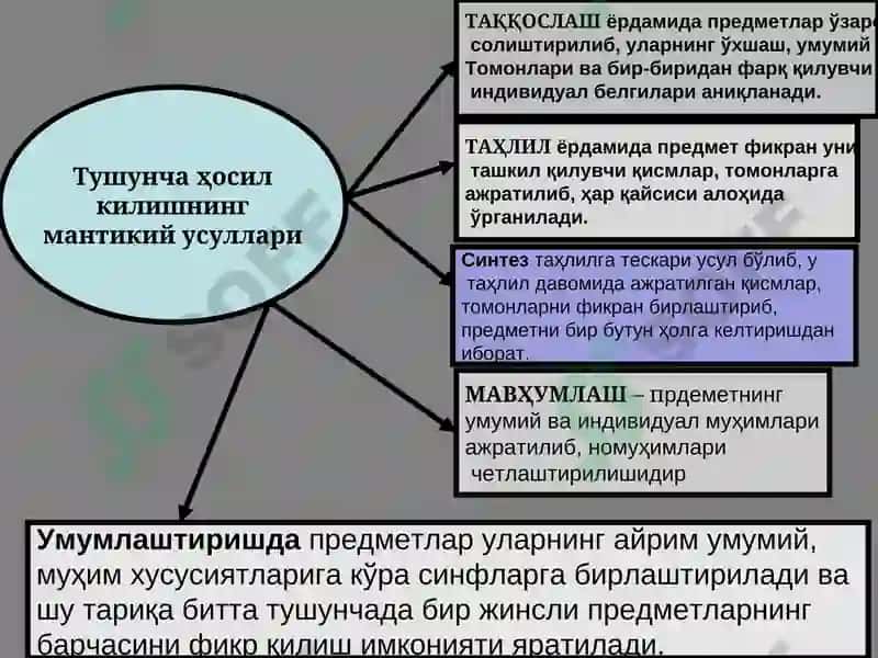 Тушунча тафаккур шакли сифатида 8