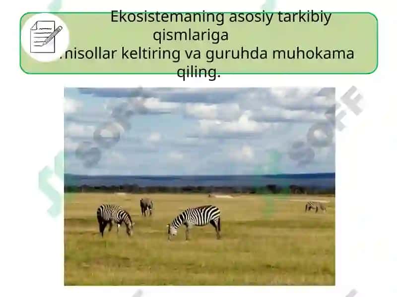 Ekosistemalardagi o‘zaromunosabatlar 8