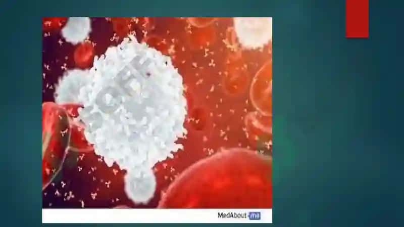 Leykotsitlar Fiziologiyasi 8