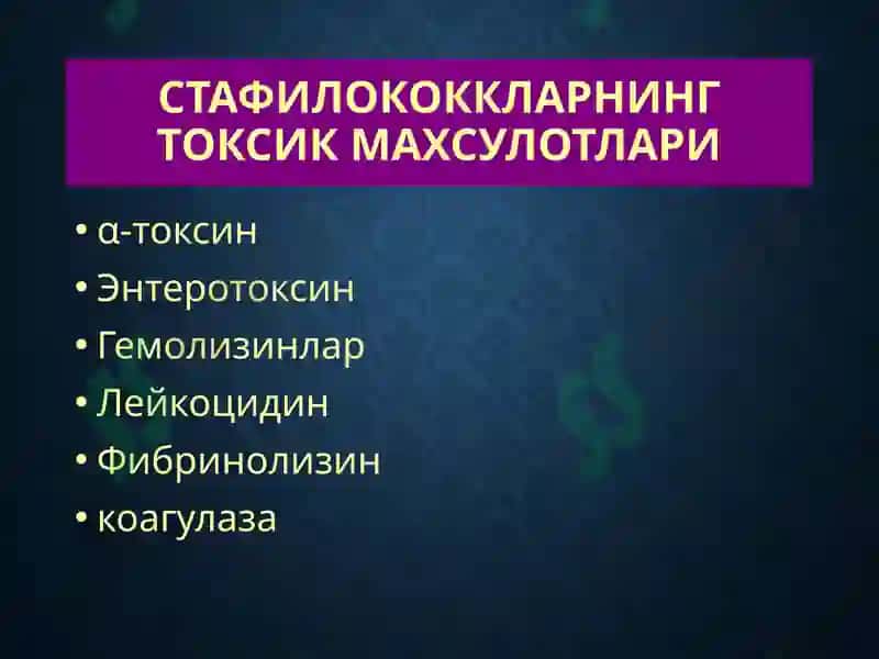 Терининг йирингли касалликлари-пиодермитлар 8