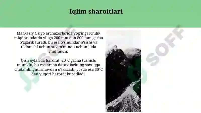 Markaziy Osiyoning archazorlari 8
