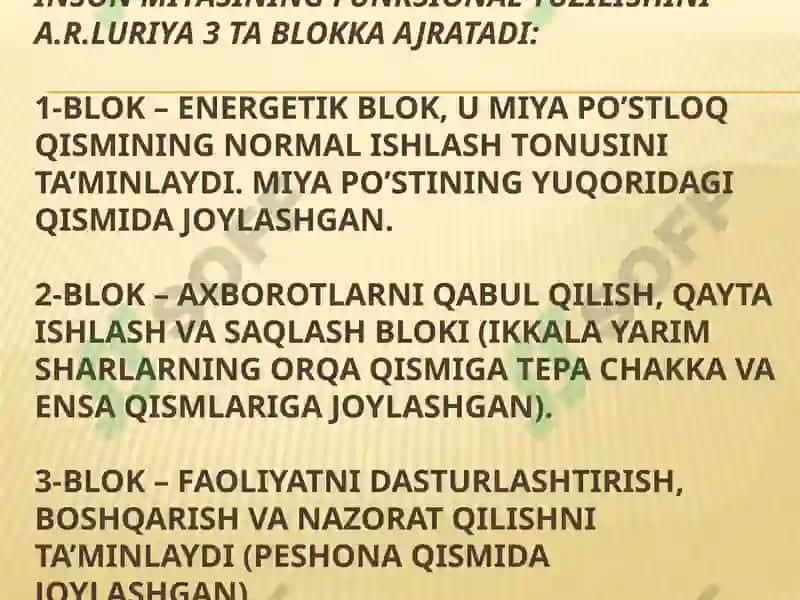 Mahalliy miya jarohatlanishida nutqning buzilishi 8