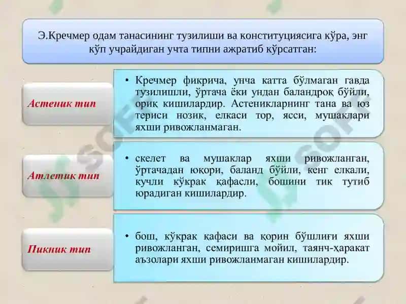 Характер 8