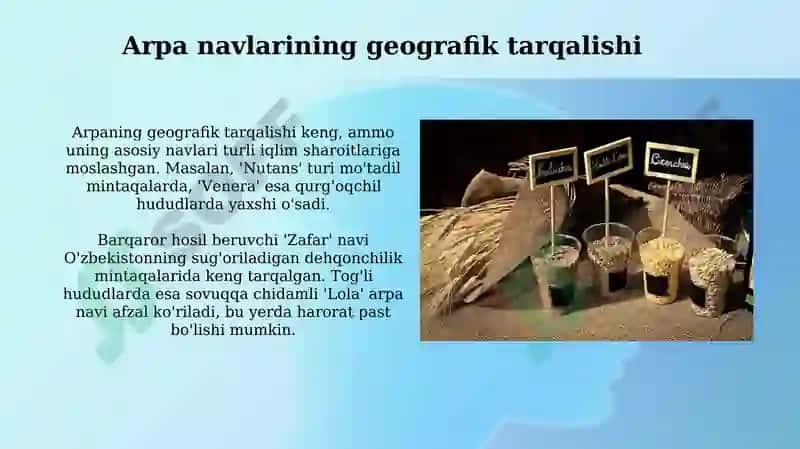 Don ekinlarining turlari va navlari 8