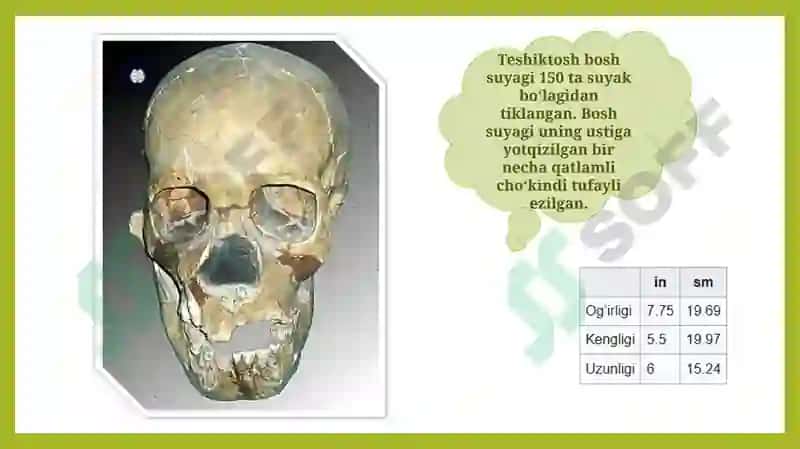 O’rta Osiyo hududidagi tabiat yodgorliklari 8