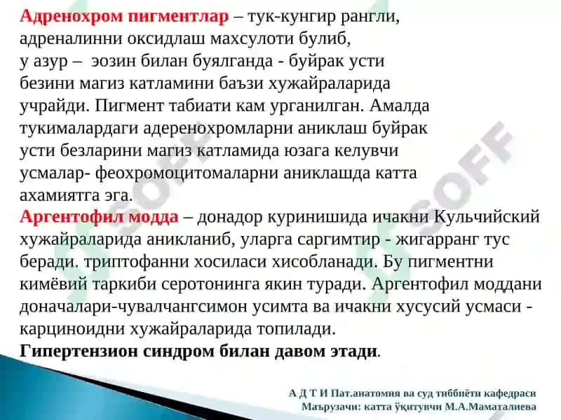 Хромопротеидлар алмашинувлари 8