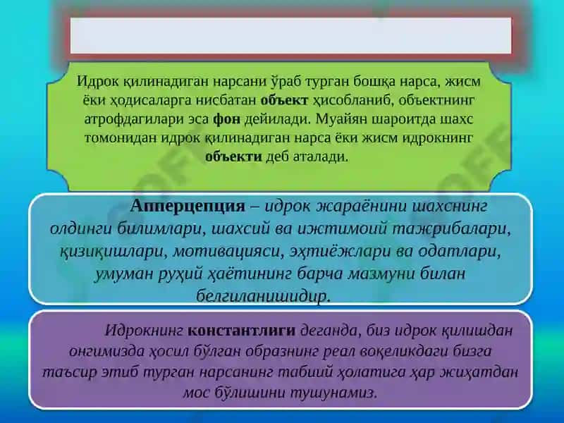 ШАХСНИНГ БИЛИШ ЖАРАЁНЛАРИ 8