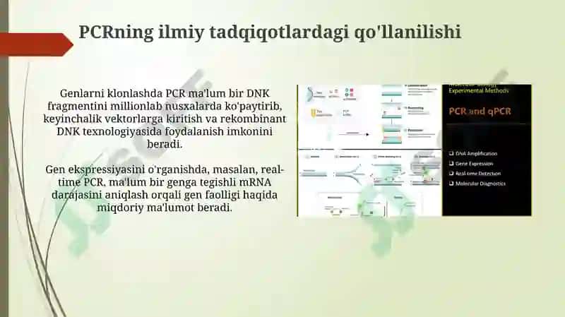 PCRning asosiy tamoyillari 8