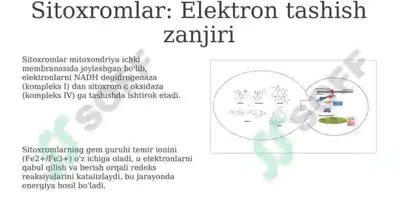 Kompleks birikmalar-biologik faol birikmalar 8