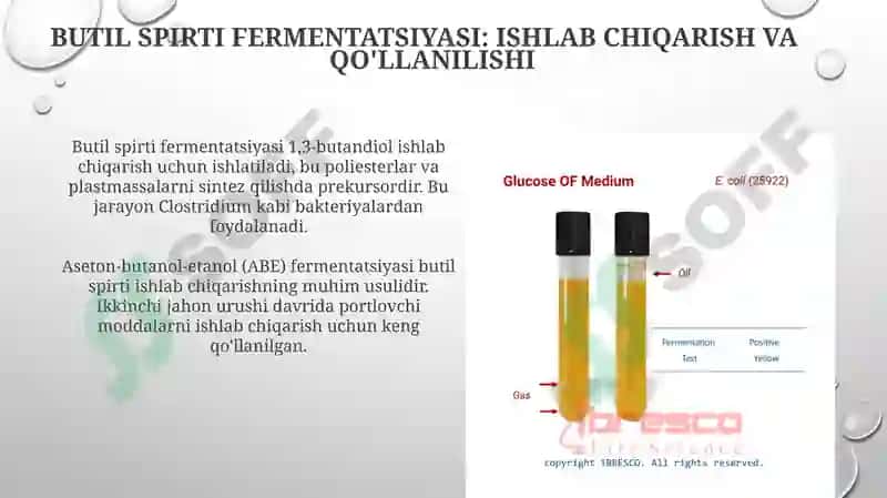 Glyukozaning bijg'ishidan olinadigan mahsulotlar 8