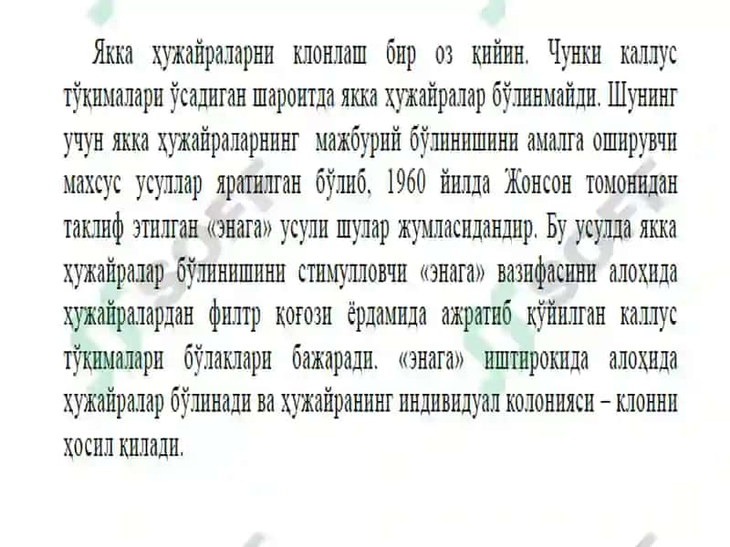 Якка ҳужайралар культураси 8