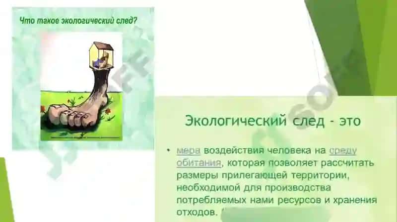 Химия и экология 8