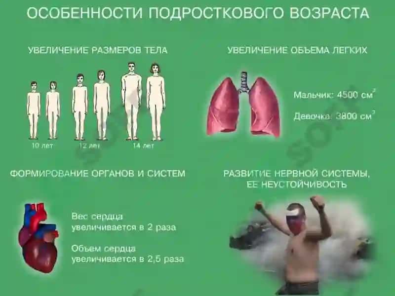O`smirlik davri psixologiyasi 8