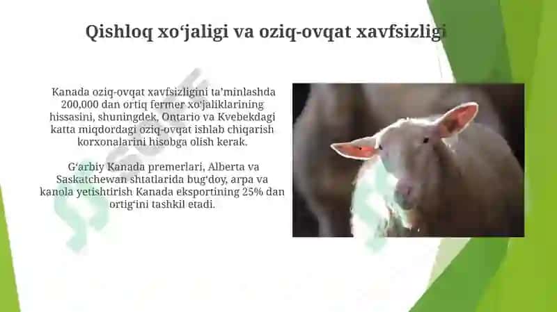 Kanada qishloq xo‘jaligi 8
