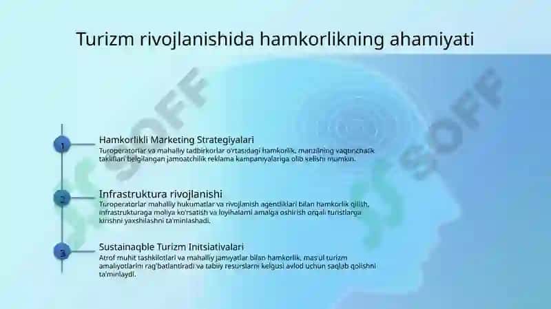Turizmning iqtisodiy ahamiyatini oshirishda turoperatorlarning o'rni 8