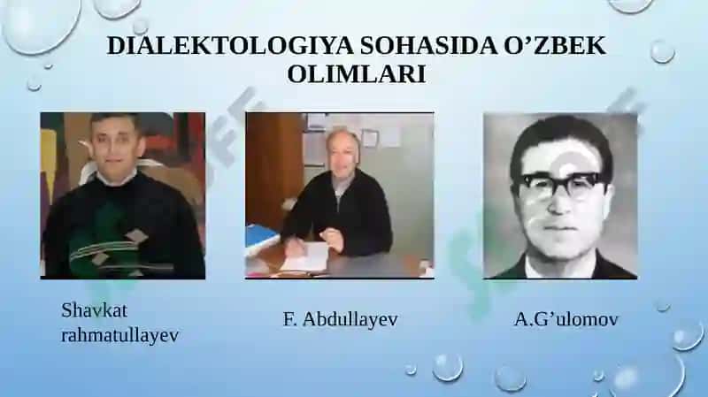 Sotsiolingvistika  tarmoqlari 8