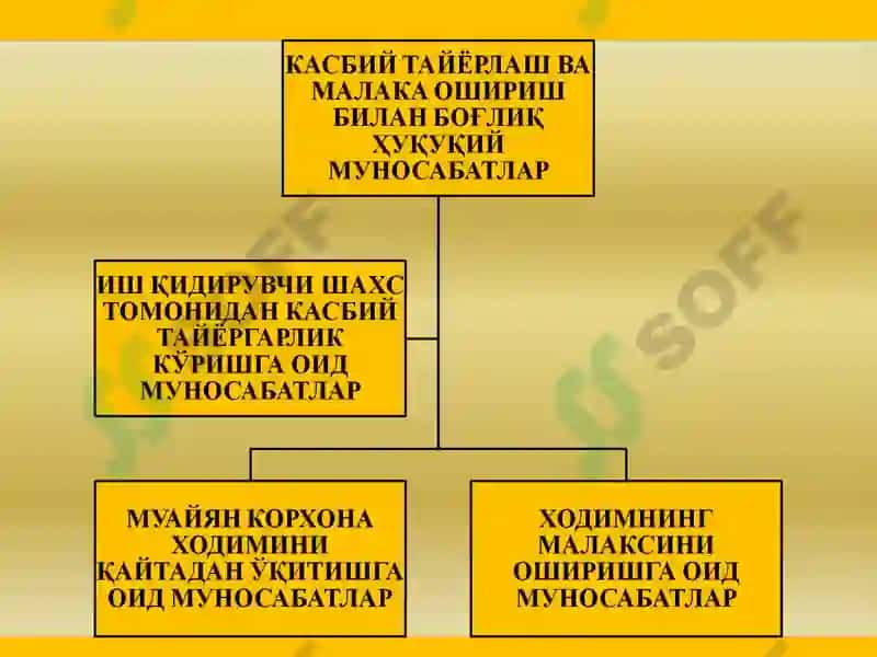 МЕҲНАТГА ОИД ҲУҚУҚИЙ МУНОСАБАТЛАР 8