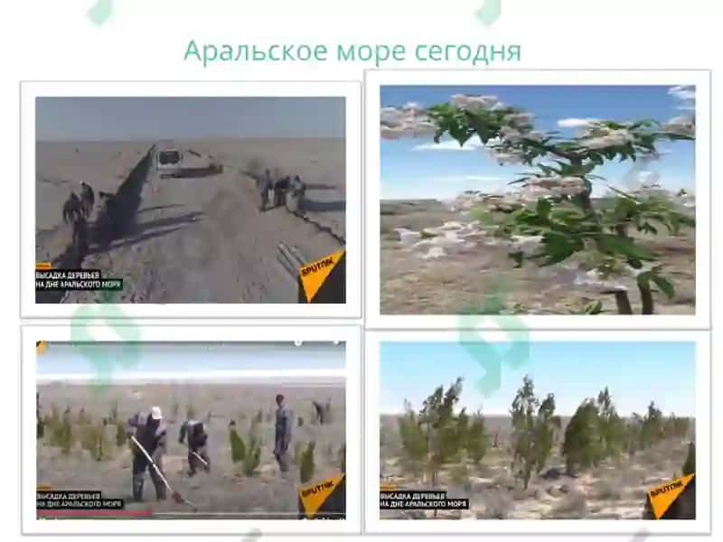 Экологические катастрофы 8