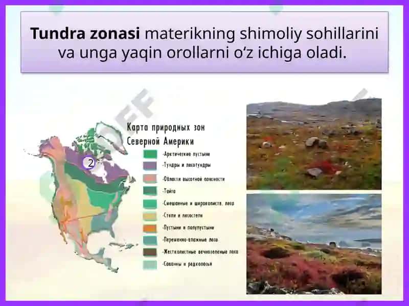 Shimoliy Amerika tabiat zonalarining tarkibi 8