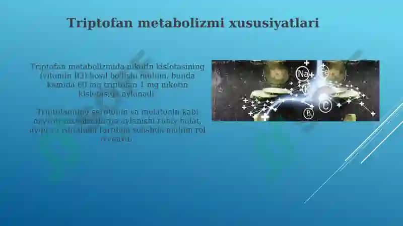 Ayrim aminokislotalar almashinuvi 8