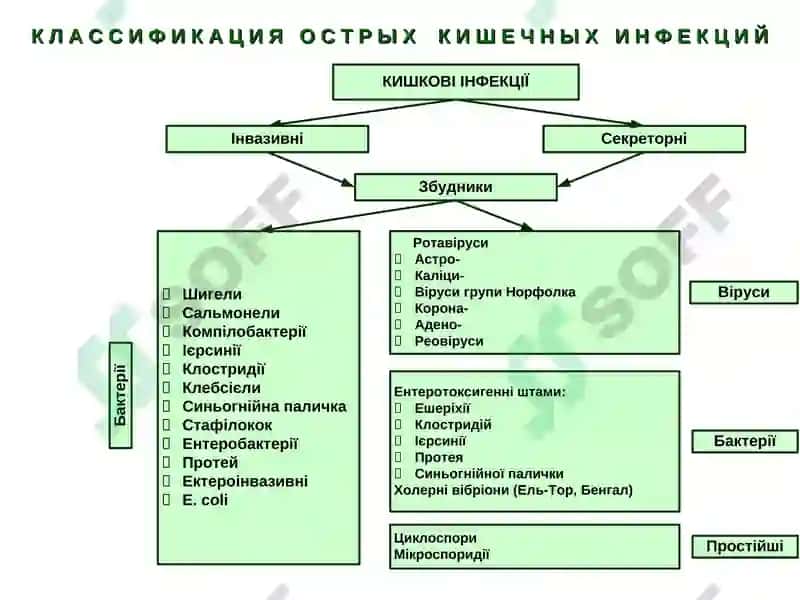 Дифференциальная диагностика заболеваний с синдромом диареи 8