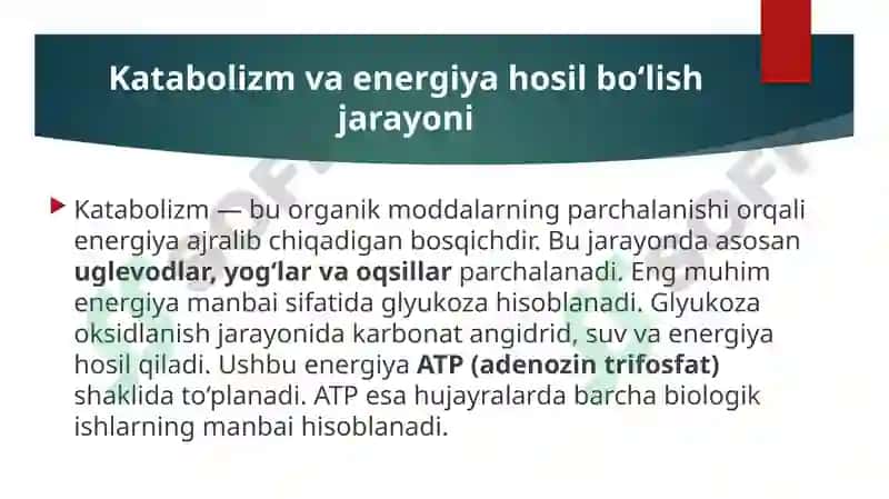 Metabalizm jarayonida energiya hosil bo’lishi va sarflanishi 8