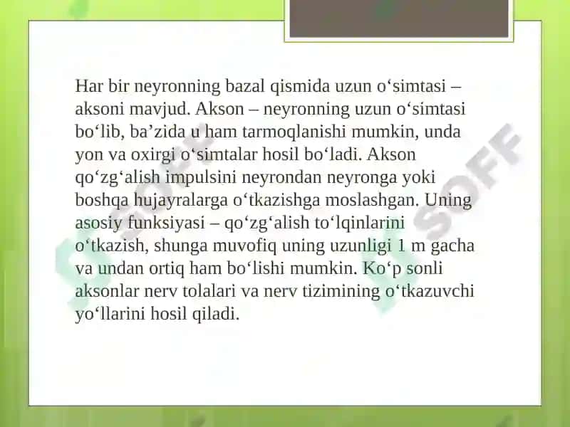 Neyron 8