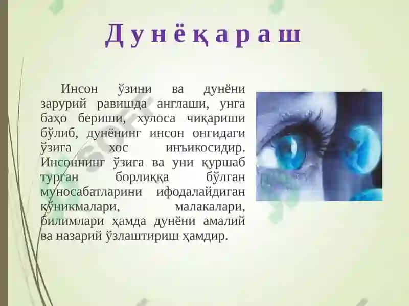 Фалсафа ва иқтисод 8