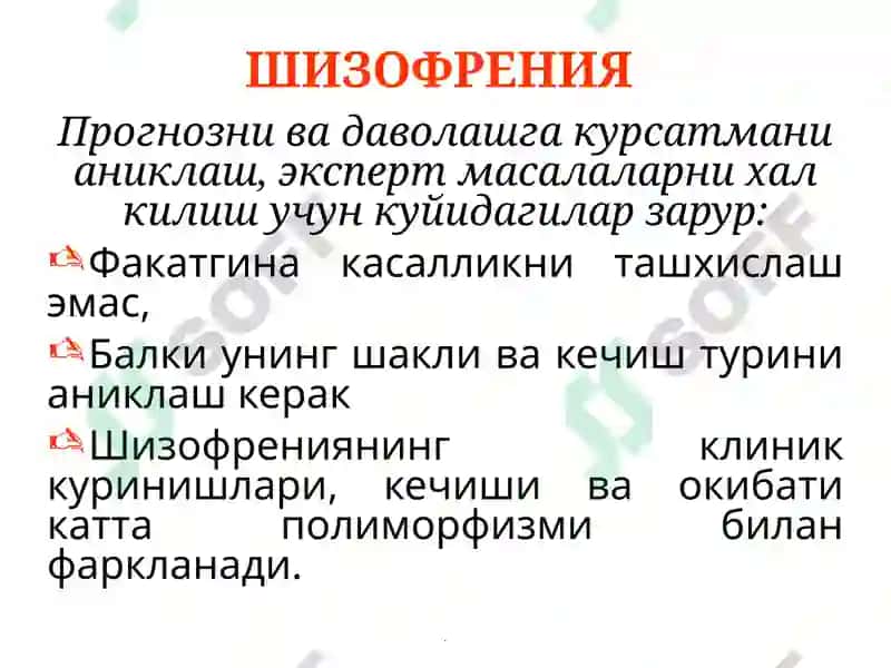 Шизофрения 8