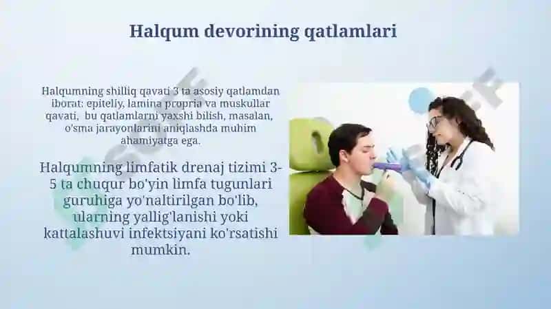 Hiqildoq,halqum klinik anatomiyasi va tekshirish usuli 8