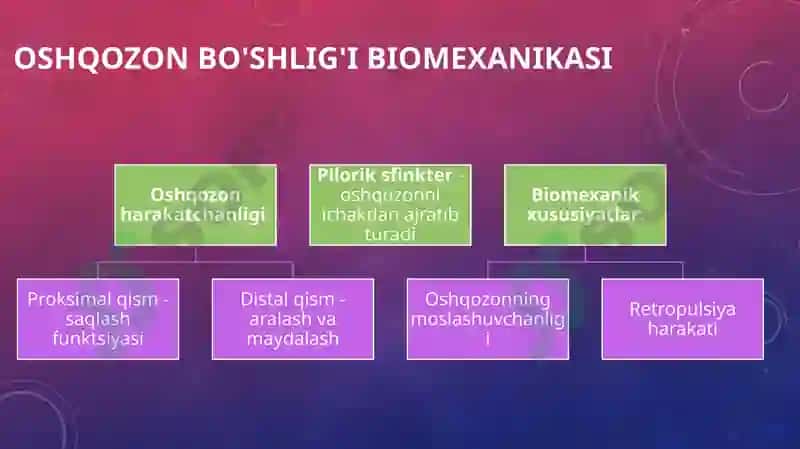 Oshqozon-ichak sinamalari va ularning klinikada qo'llanilishi 8