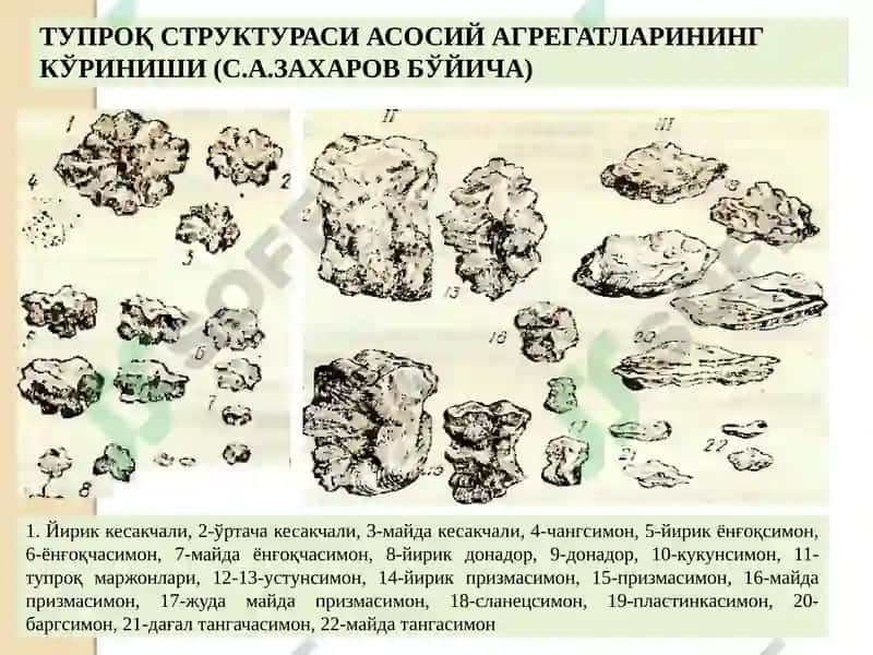 Тупроқ структураси 8