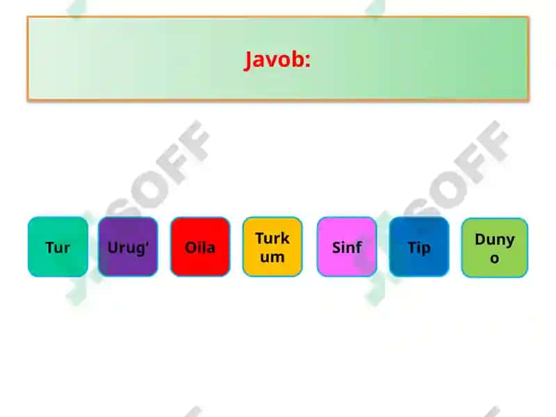 Hayvonlar Sistematikasi 8