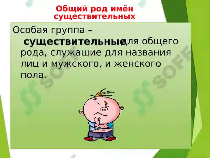 Части речи 8
