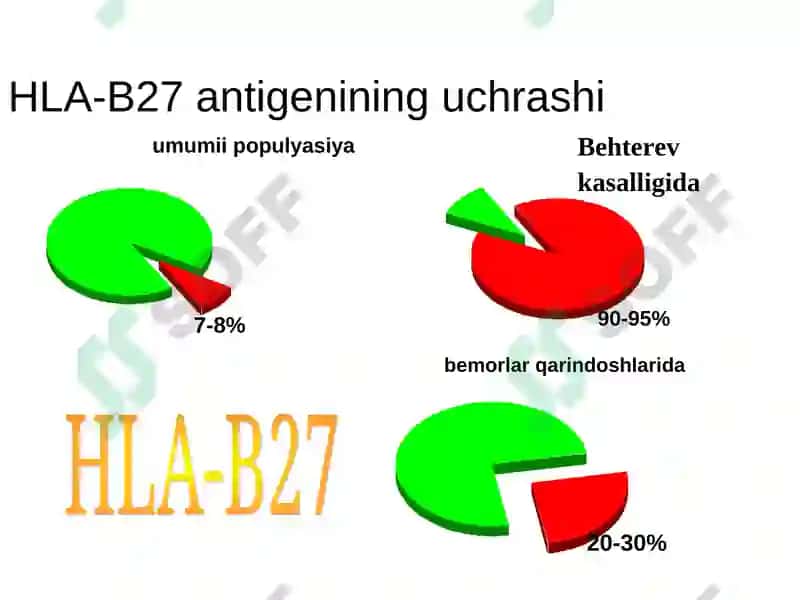 Seronegativ spondiloartritlar (SNSA) 8