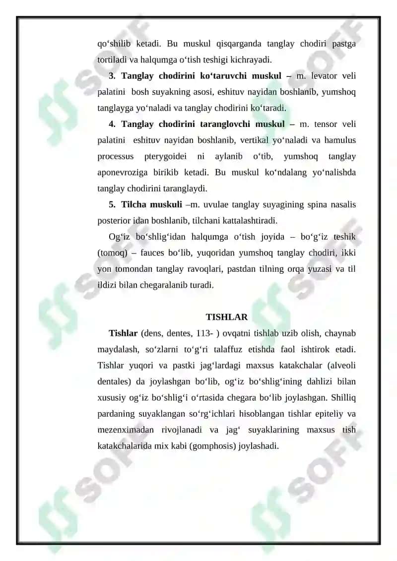Ichki a’zolar haqida ta’limot 8