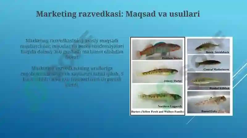 Marketingda axborotni orni 8
