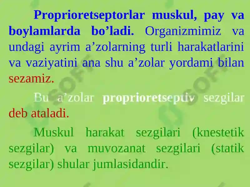SEZGILAR TO'G'RISIDA UMUMIY TUSHUNCHA 8