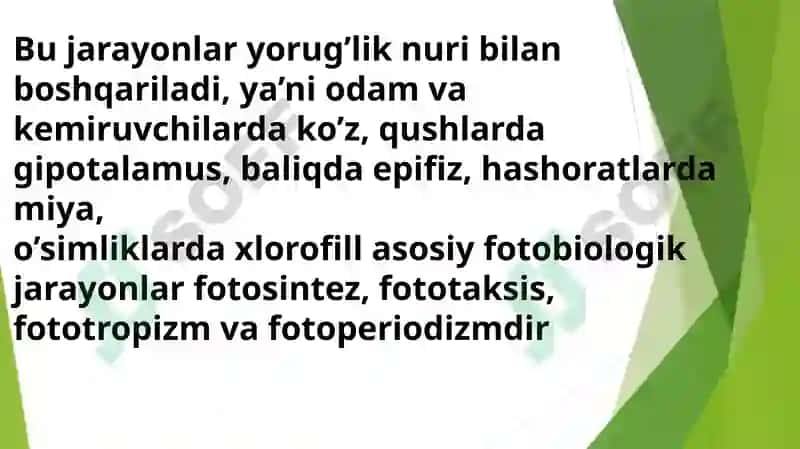 Fotobiologiya 8
