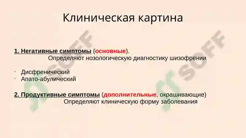 Шизофрения 8