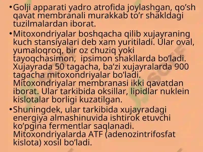 Hujayra Tuzilishi 8