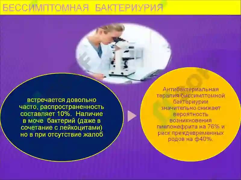 Бессимптомная бактериурия 8