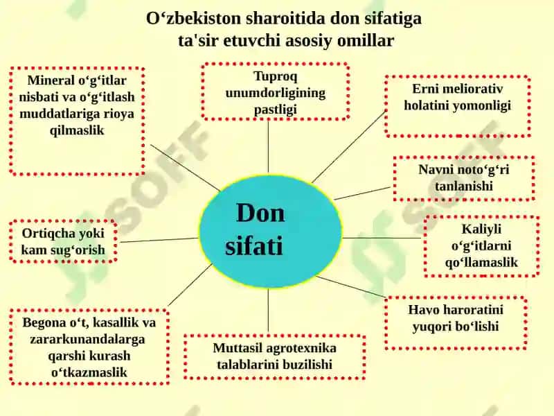 Ma’ruza.Donuyuminisaqlashtartibivausullari 8