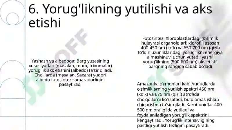 Oʻsimliklarda uglevodlar sintezi 8