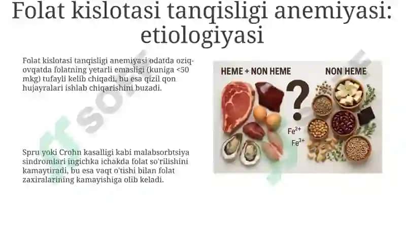 Anemiya turlari va sabablari 8