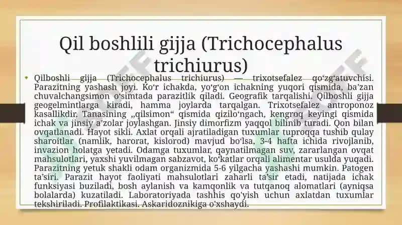 Yumaloqchuval changlar 8
