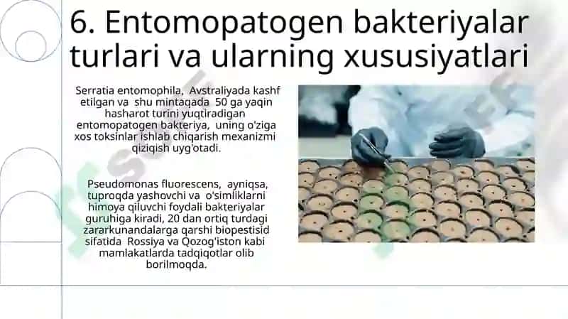 Entomopatogen preparatlar 8