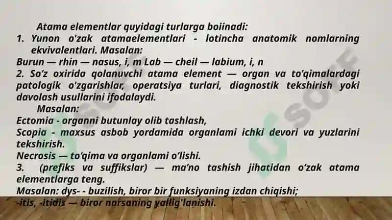 Lotin tilida Tibbiyot Terminologiyasi 8
